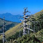 平利试验区2013年4月份课题指导 简报——北京师范大学现代教育技术研究所